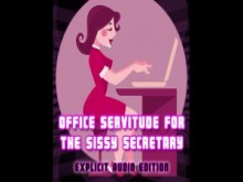 Servidumbre de oficina para la secretaria del sist Edición de audio explícito