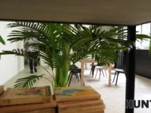 CAZA4K. helado de semen