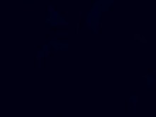 Misty le es infiel a Jackie - Cyberpunk 2077 Fanfiction - Porno 3D 60 FPS - Hentai + POV WildLife