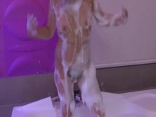 Hermosa madrastra en el jacuzzi del motel se masturba antes de follársela